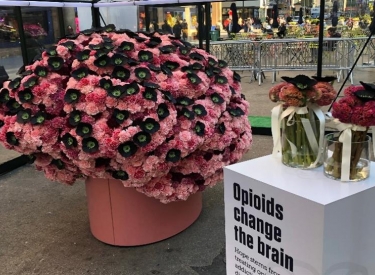 Photograph of Hope Stems art installation, a large brain sculpture made of flowers