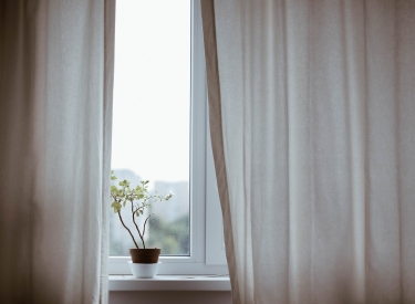 A small potted plant sitting on a windowsill, with cream-colored curtains mostly drawn